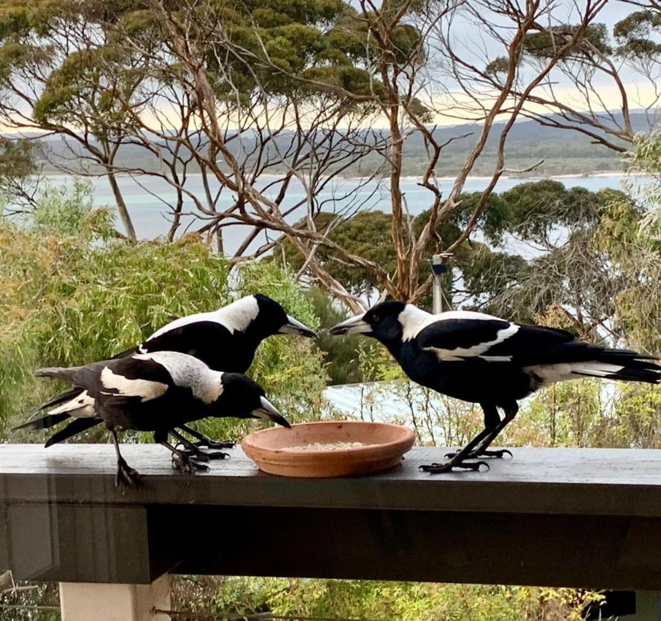The River Suites, Kangaroo Island American River المظهر الخارجي الصورة
